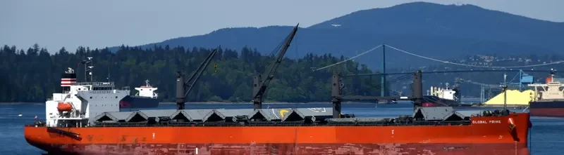 GLOBAL PRIME Bulk Carrier IMO 9658941 photo 18