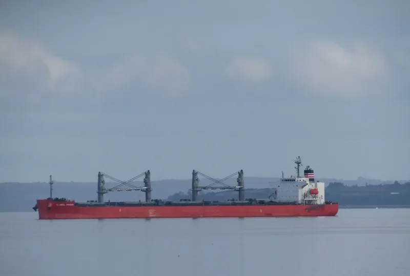 GLOBAL PRIME Bulk Carrier IMO 9658941 photo 39