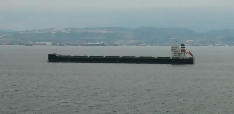 GRIZZLY Bulk Carrier IMO 9659232 photo 5