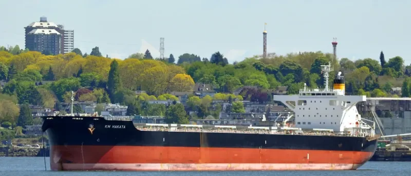 KM HAKATA Bulk Carrier IMO 9659830 photo 5