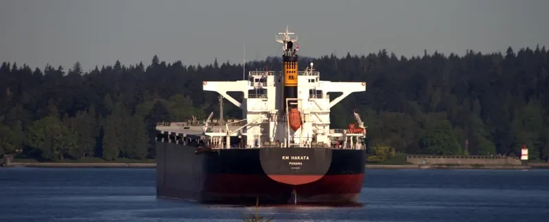 KM HAKATA Bulk Carrier IMO 9659830 photo 7