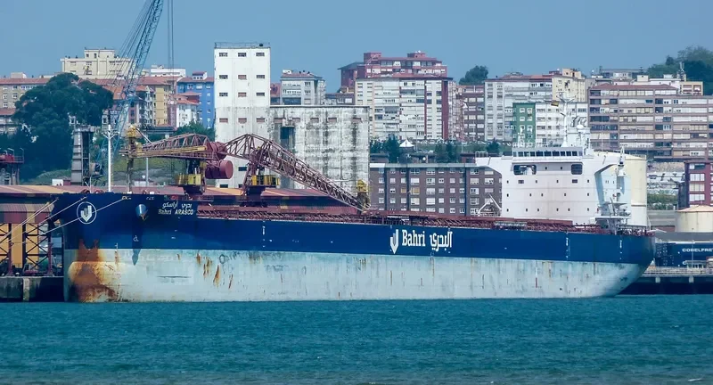 BAHRI ARASCO Bulk Carrier IMO 9660516 photo 7