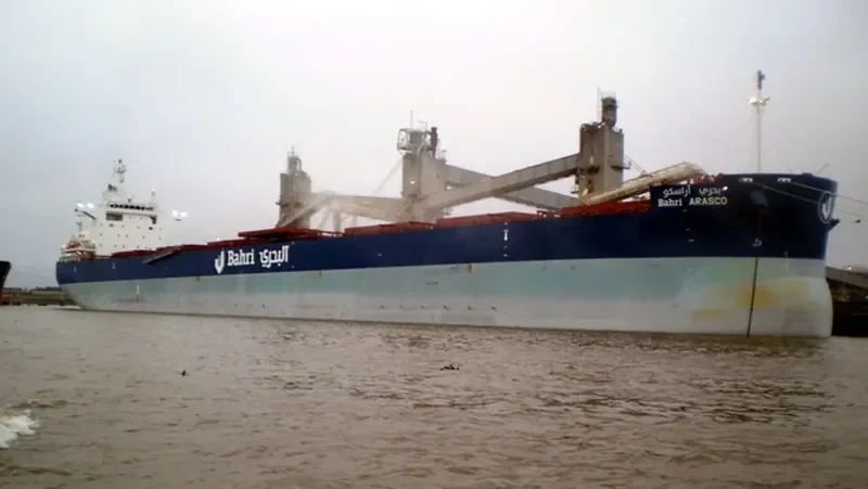 BAHRI ARASCO Bulk Carrier IMO 9660516 photo 9