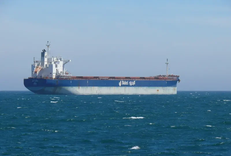 BAHRI ARASCO Bulk Carrier IMO 9660516 photo 20