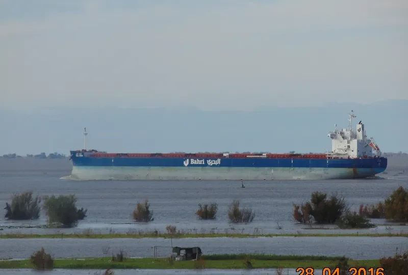 BAHRI GRAIN Bulk Carrier IMO 9660528