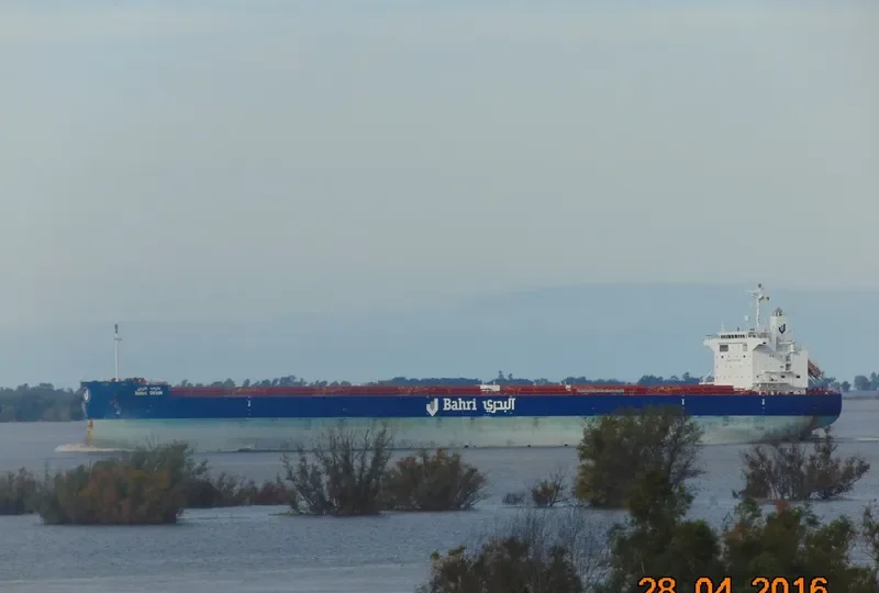 BAHRI GRAIN Bulk Carrier IMO 9660528 photo 8