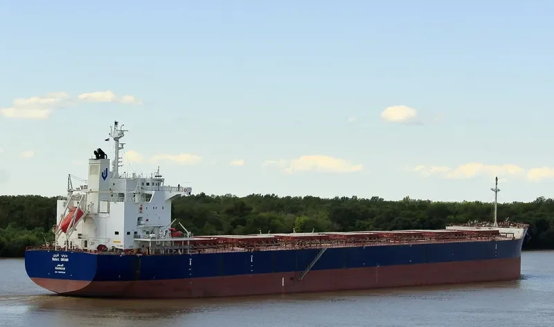 BAHRI GRAIN Bulk Carrier IMO 9660528 photo 13