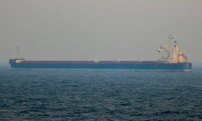 BAHRI GRAIN Bulk Carrier IMO 9660528 photo 35