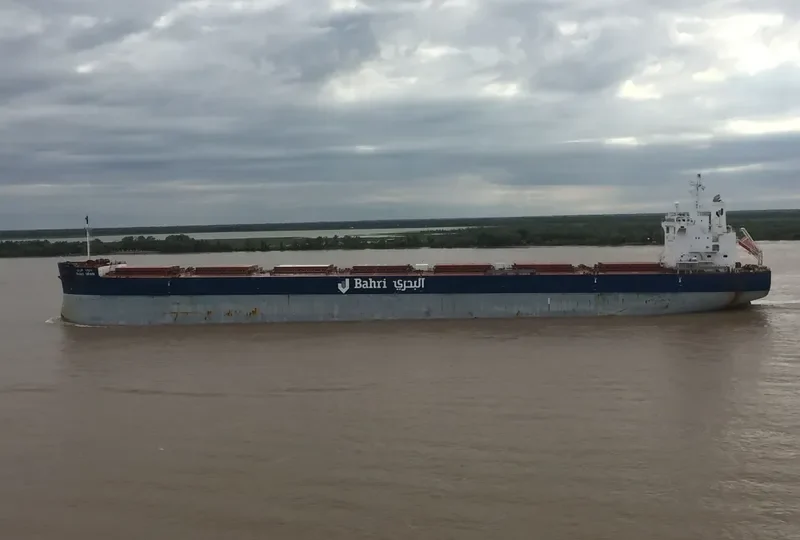 BAHRI GRAIN Bulk Carrier IMO 9660528 photo 41