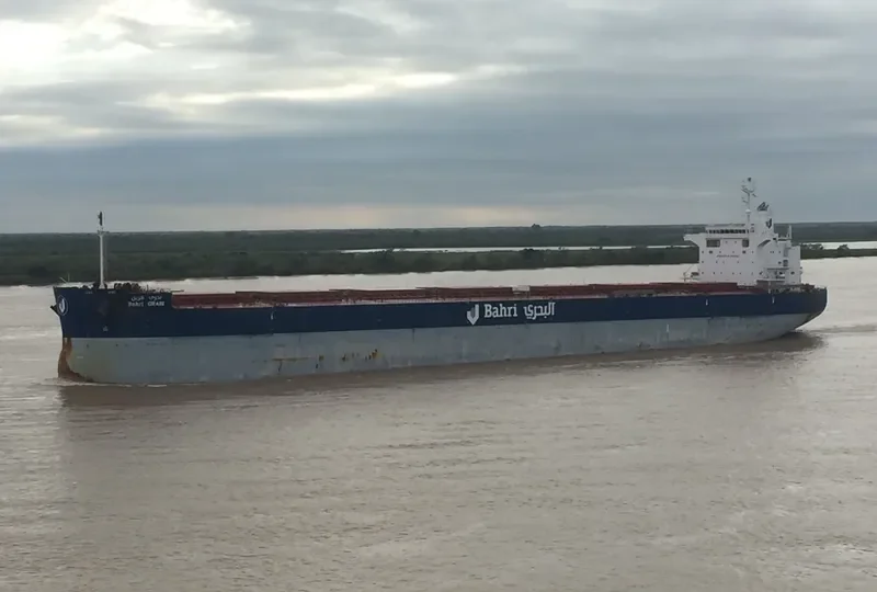 BAHRI GRAIN Bulk Carrier IMO 9660528 photo 50