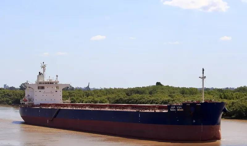 BAHRI GRAIN Bulk Carrier IMO 9660528 photo 52