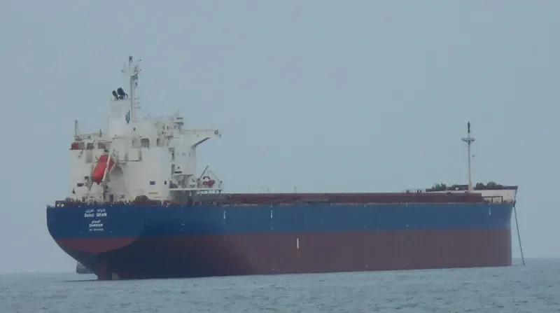 BAHRI GRAIN Bulk Carrier IMO 9660528 photo 63