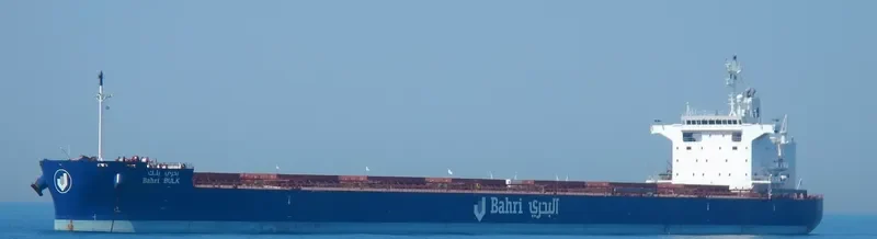 BAHRI BULK Bulk Carrier IMO 9660530 photo 13
