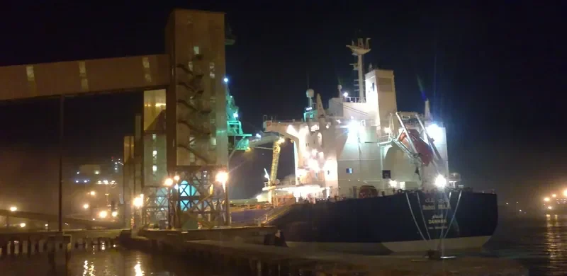 BAHRI BULK Bulk Carrier IMO 9660530 photo 15