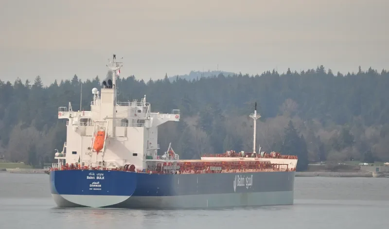 BAHRI BULK Bulk Carrier IMO 9660530 photo 18