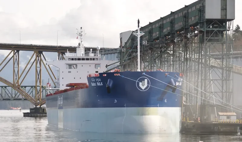 BAHRI BULK Bulk Carrier IMO 9660530 photo 27