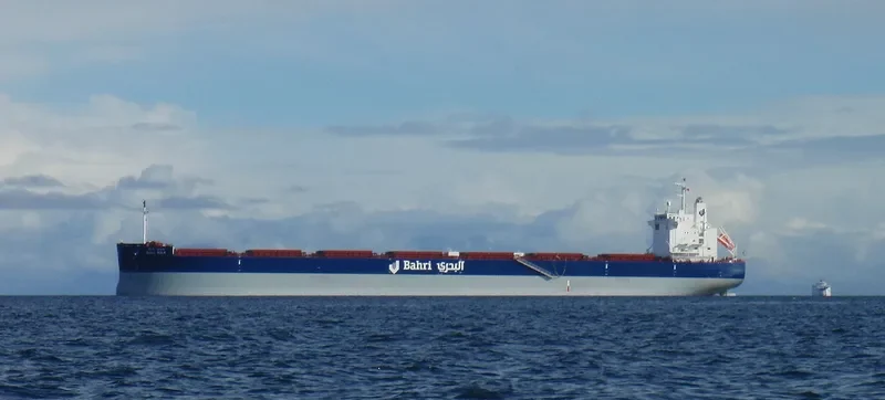 BAHRI BULK Bulk Carrier IMO 9660530 photo 41