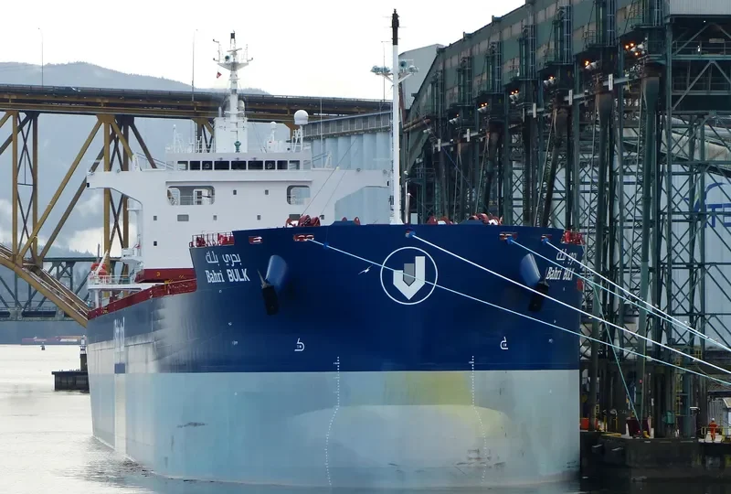 BAHRI BULK Bulk Carrier IMO 9660530 photo 64