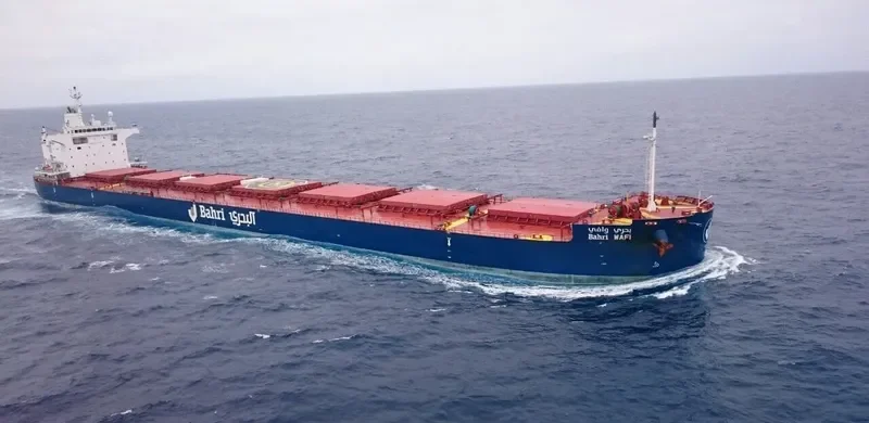 BAHRI WAFI Bulk Carrier IMO 9660542 photo 2