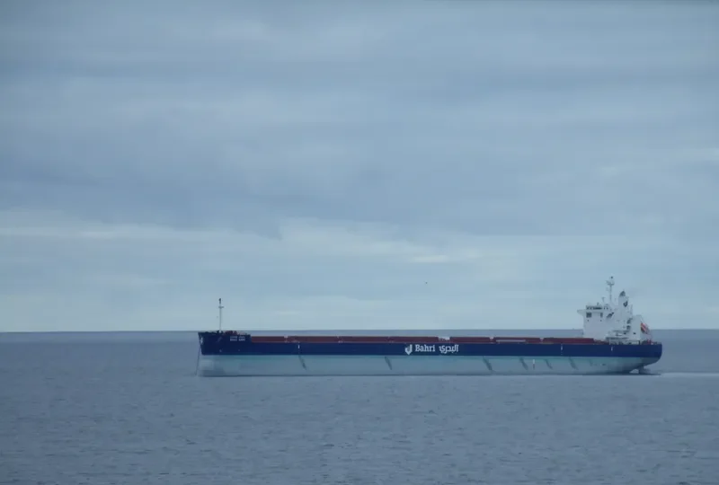 BAHRI WAFI Bulk Carrier IMO 9660542 photo 14