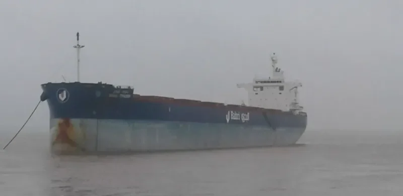 BAHRI TRADER Bulk Carrier IMO 9660554 photo 7