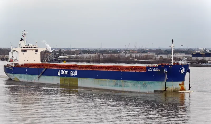 BAHRI TRADER Bulk Carrier IMO 9660554 photo 9