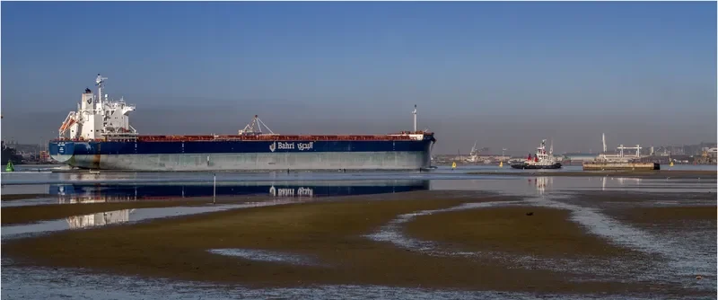 BAHRI TRADER Bulk Carrier IMO 9660554 photo 11