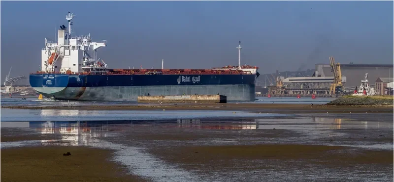 BAHRI TRADER Bulk Carrier IMO 9660554 photo 21