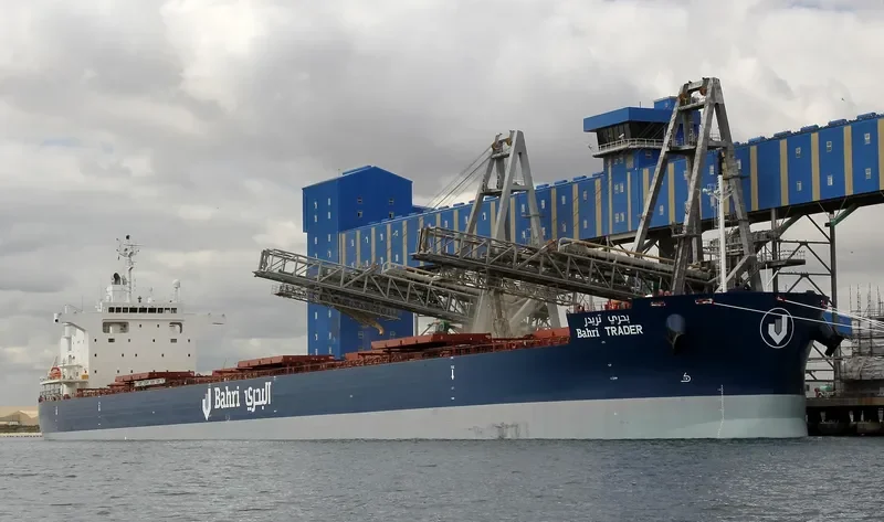 BAHRI TRADER Bulk Carrier IMO 9660554 photo 24
