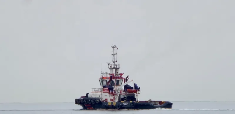 GLADIATOR Bulk Carrier IMO 9662057 photo 4