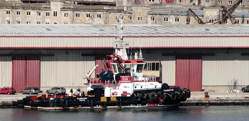 GLADIATOR Bulk Carrier IMO 9662057 photo 8