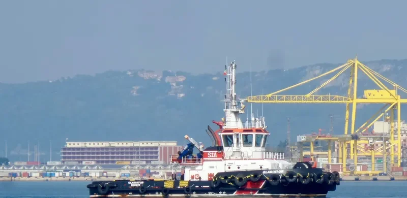 GLADIATOR Bulk Carrier IMO 9662057 photo 9