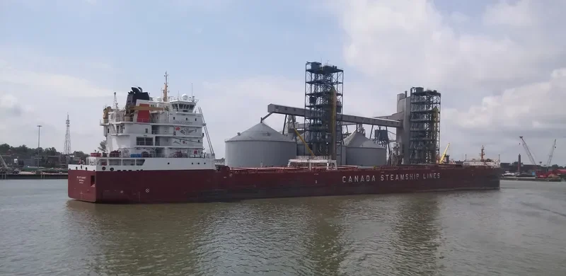 CSL ST LAURENT Bulk Carrier IMO 9665281 photo 3