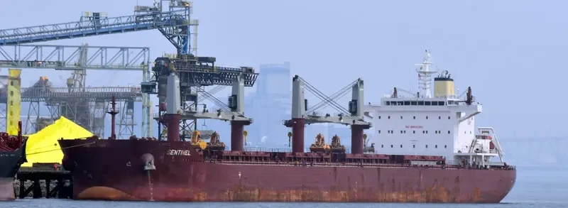 SENTINEL Bulk Carrier IMO 9665554 photo 3