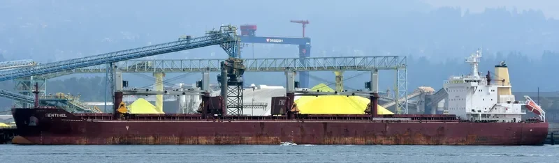 SENTINEL Bulk Carrier IMO 9665554 photo 7