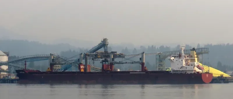 SENTINEL Bulk Carrier IMO 9665554 photo 9