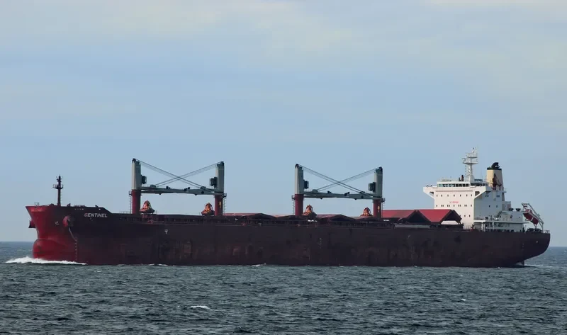 SENTINEL Bulk Carrier IMO 9665554 photo 10