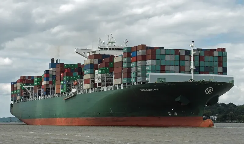 THALASSA NIKI Container Ship IMO 9665645 photo 8