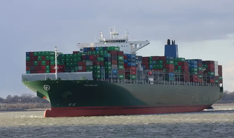 THALASSA NIKI Container Ship IMO 9665645 photo 10
