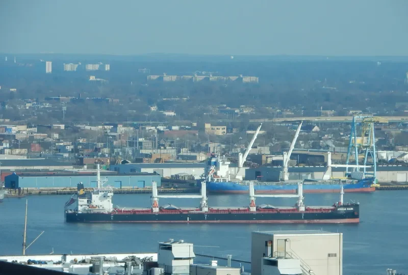 AFRICAN KALMIA Bulk Carrier IMO 9666431 photo 2