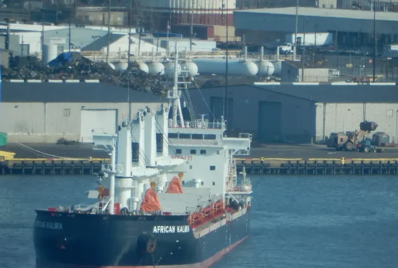 AFRICAN KALMIA Bulk Carrier IMO 9666431 photo 3