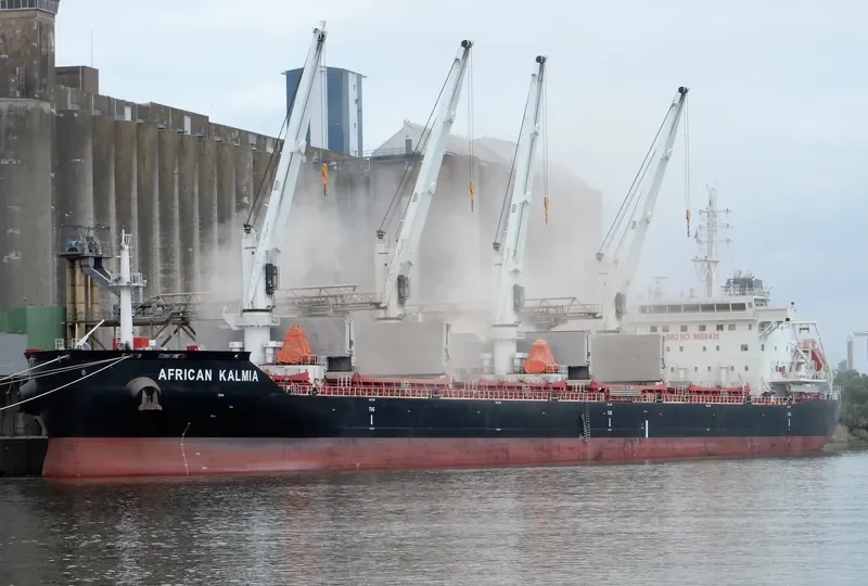AFRICAN KALMIA Bulk Carrier IMO 9666431 photo 4