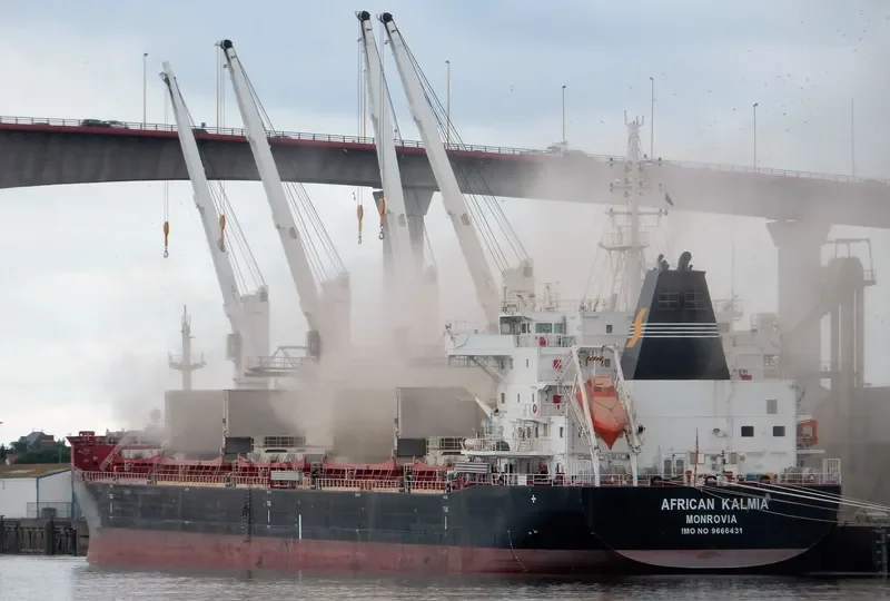AFRICAN KALMIA Bulk Carrier IMO 9666431 photo 5