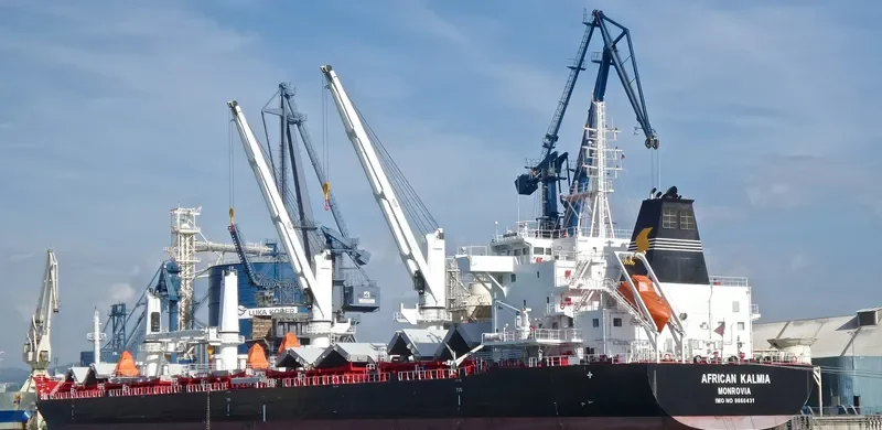 AFRICAN KALMIA Bulk Carrier IMO 9666431 photo 6