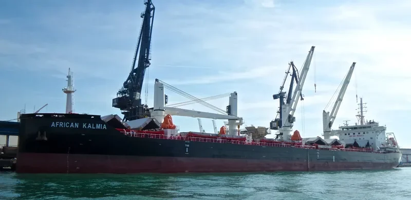 AFRICAN KALMIA Bulk Carrier IMO 9666431 photo 7