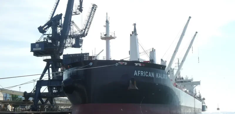 AFRICAN KALMIA Bulk Carrier IMO 9666431 photo 8