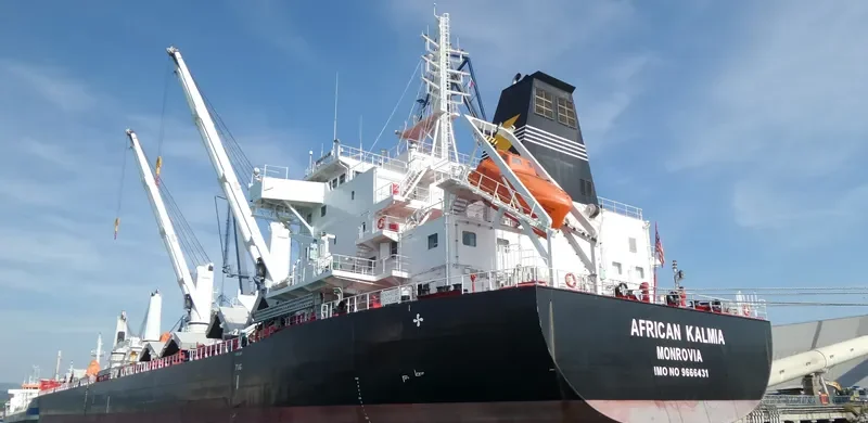AFRICAN KALMIA Bulk Carrier IMO 9666431 photo 9