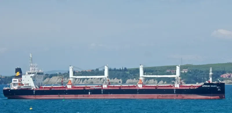 AFRICAN KALMIA Bulk Carrier IMO 9666431 photo 10