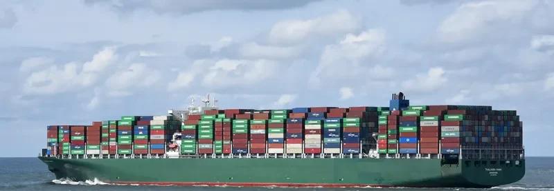 THALASSA MANA Container Ship IMO 9667150 photo 3