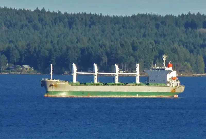 LOCOMOTION Bulk Carrier IMO 9667423 photo 9